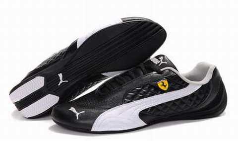 puma mostro homme brun